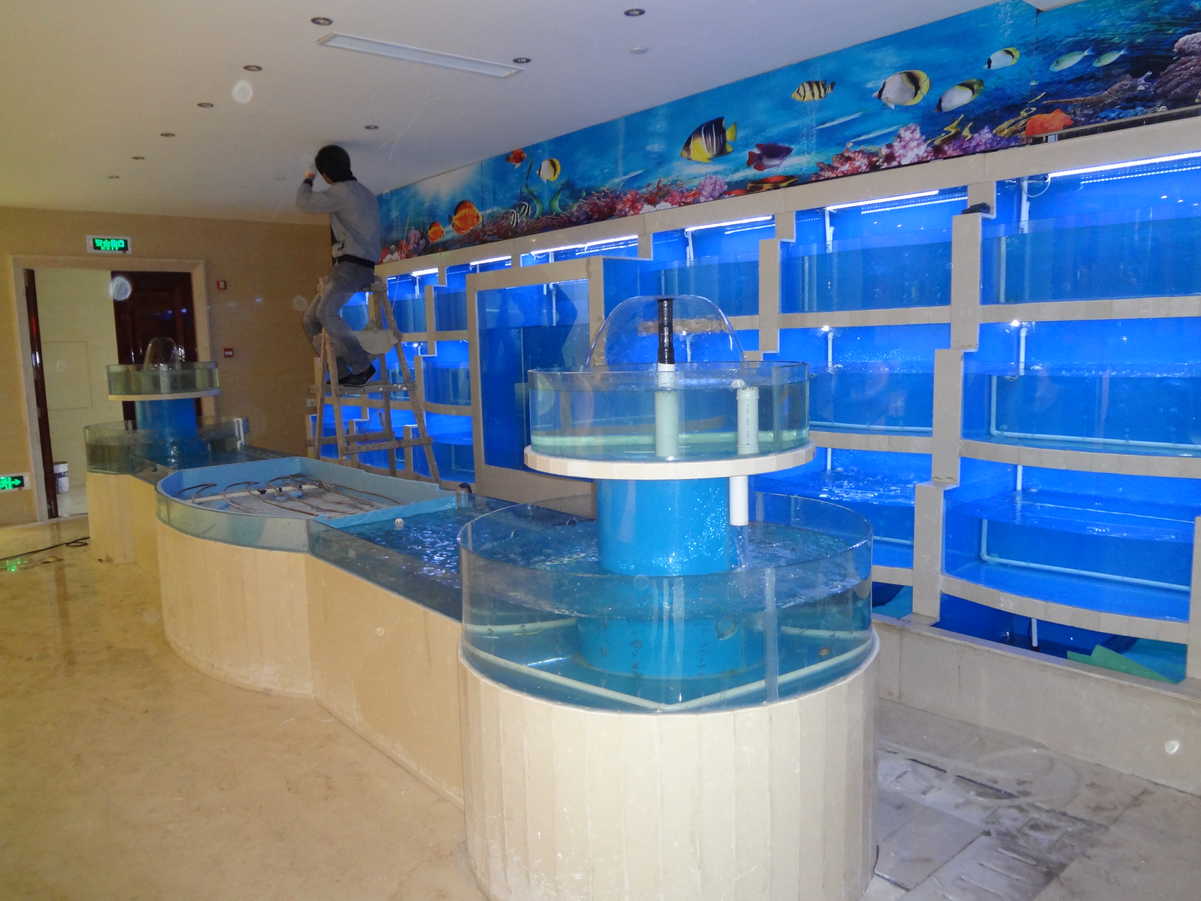 最新海鲜养殖招聘信息_海鲜图片大全_海鲜自助餐(4)