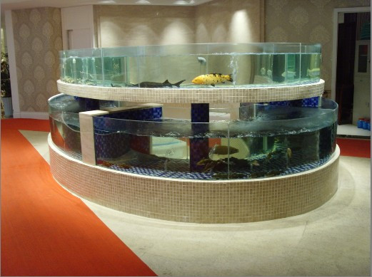 专业鱼缸海鲜池安装